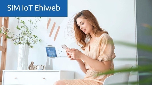 sim-iot-ehiweb