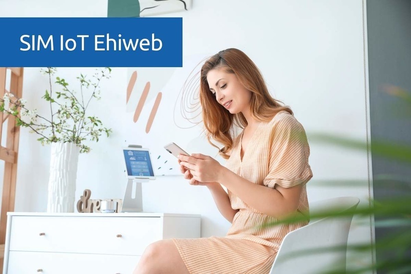 sim-iot-ehiweb